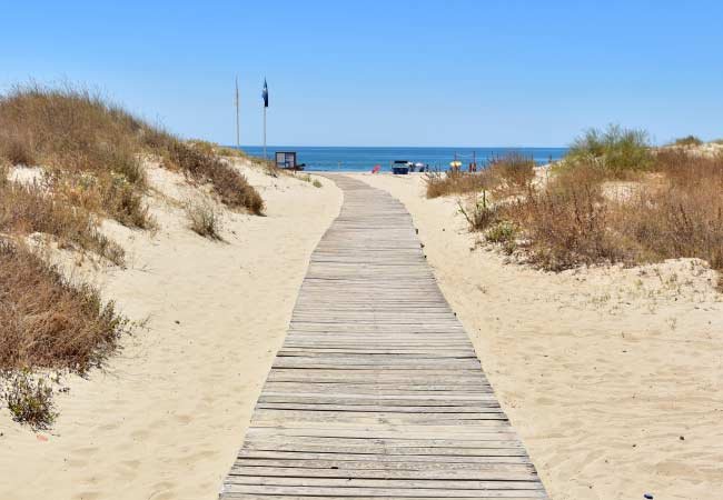 Local Beaches